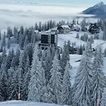 Drvorez-direktno Na Stazi Jahorina