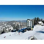 Drvorez-direktno Na Stazi * Jahorina