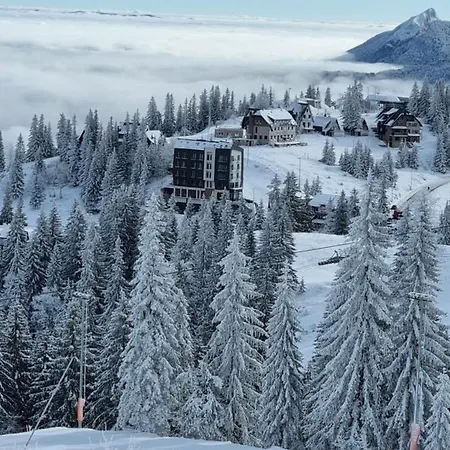 Drvorez-direktno Na Stazi Jahorina