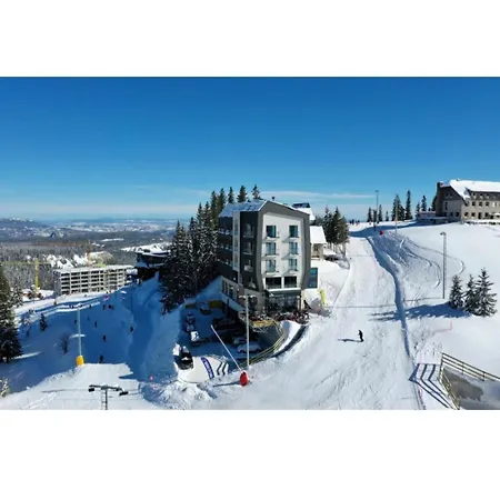 Drvorez-direktno Na Stazi *