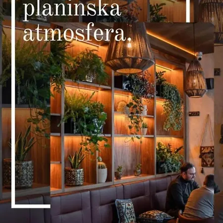 Drvorez-direktno Na Stazi * Jahorina