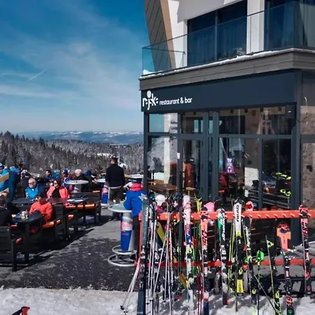 Drvorez-direktno Na Stazi Lejlighed