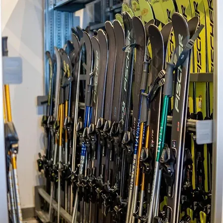 Drvorez-direktno Na Stazi Lejlighed *