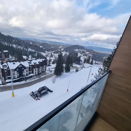 Drvorez-direktno Na Stazi Jahorina