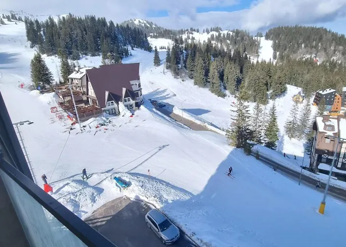 Drvorez-direktno Na Stazi Apartment *