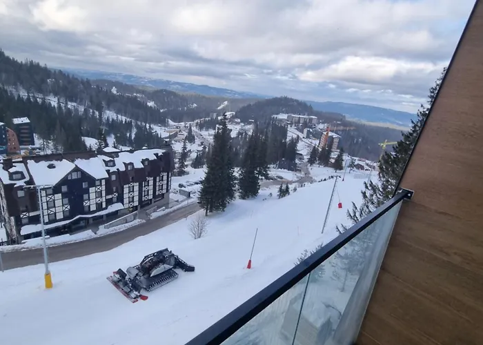 Drvorez-direktno Na Stazi Jahorina